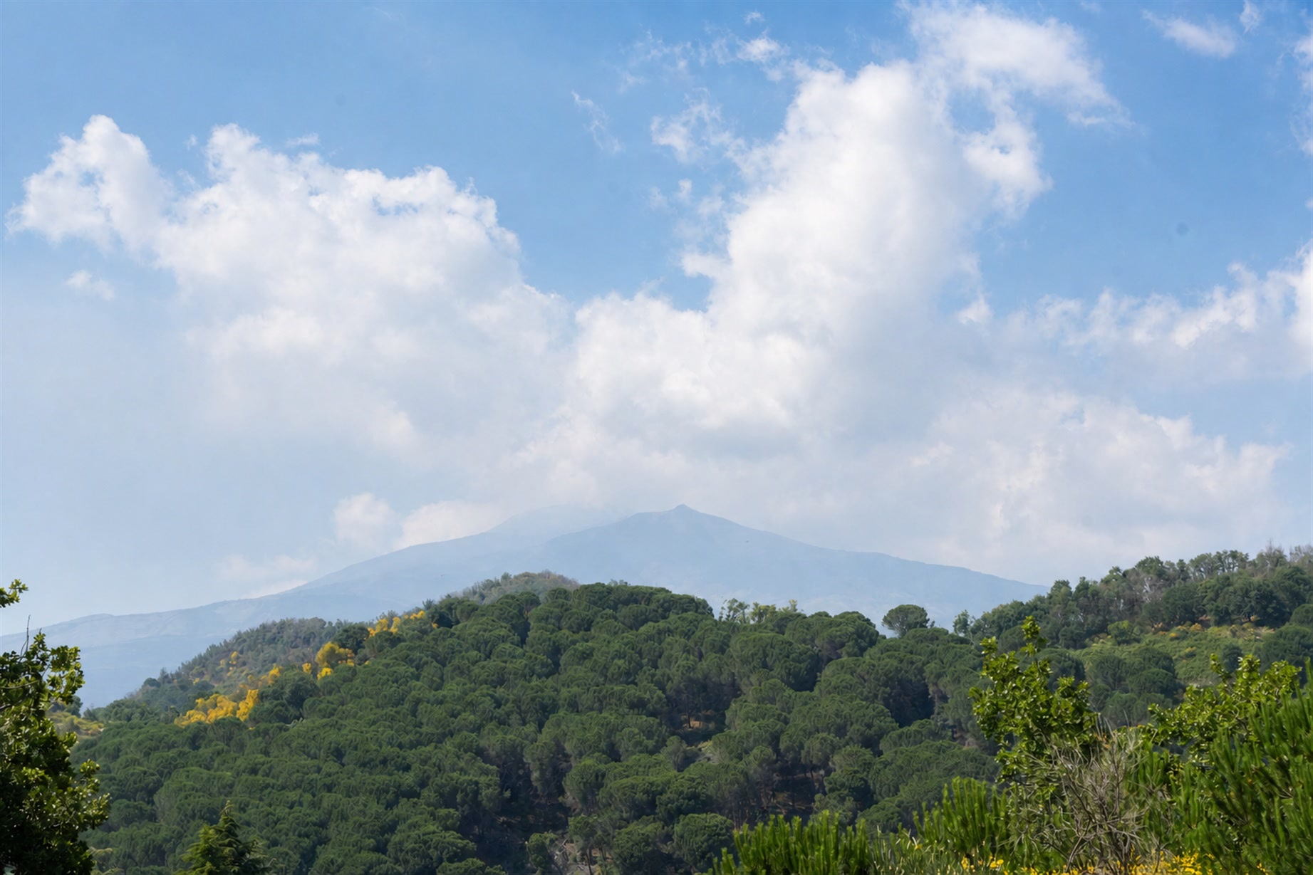 L’Etna visto dalla villa, oltre i pini del versante